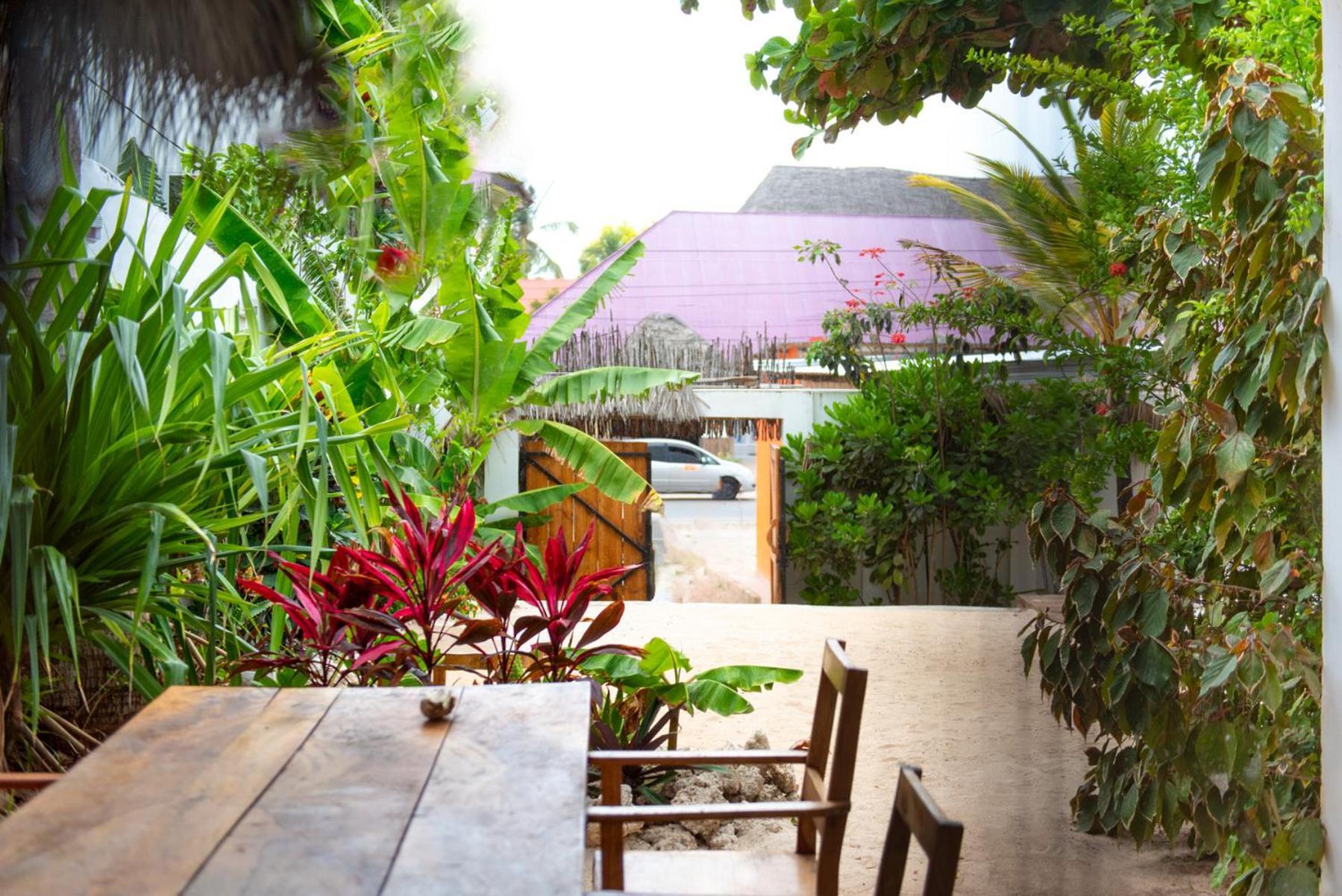 Dar Mar Hostel & Coworking Paje Ngoại thất bức ảnh