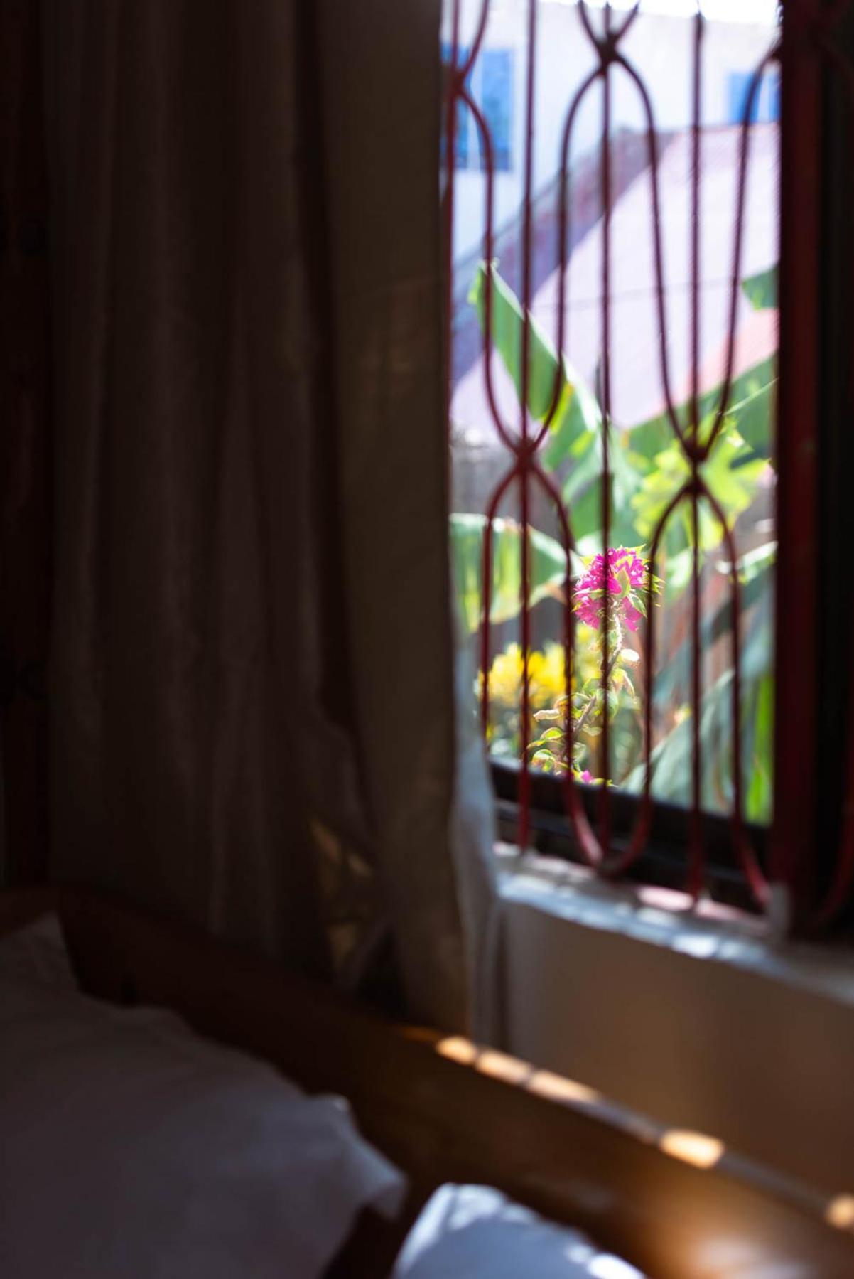 Dar Mar Hostel & Coworking Paje Ngoại thất bức ảnh