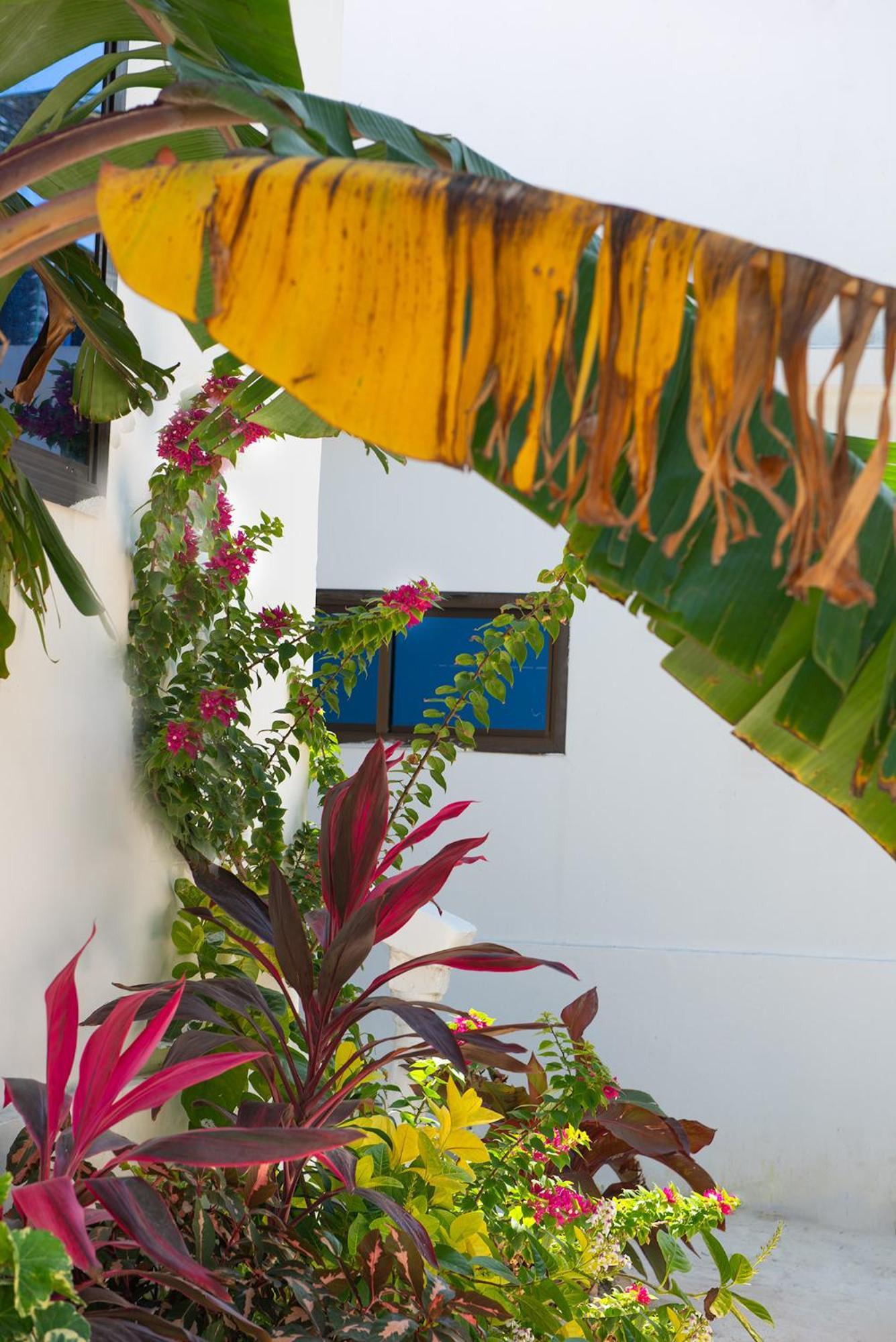 Dar Mar Hostel & Coworking Paje Ngoại thất bức ảnh